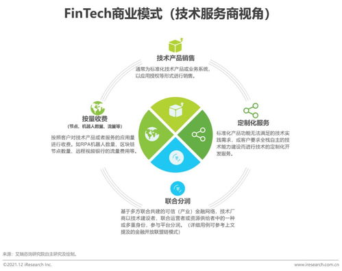2021年中國金融科技行業(yè)發(fā)展洞察報告 網絡技術服務視角